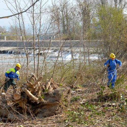 Intervento Fiume Isonzo nei pressi del Ponte di Sagrado n. 35 / 78647