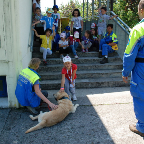 Attivit‡ formazione/divulgazione presso scuola Colugna n. 82 / 109953