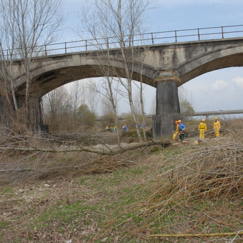 Intervento alveo Torre nelle vicinanze dell'abitato di Salt n. 93 / 78767