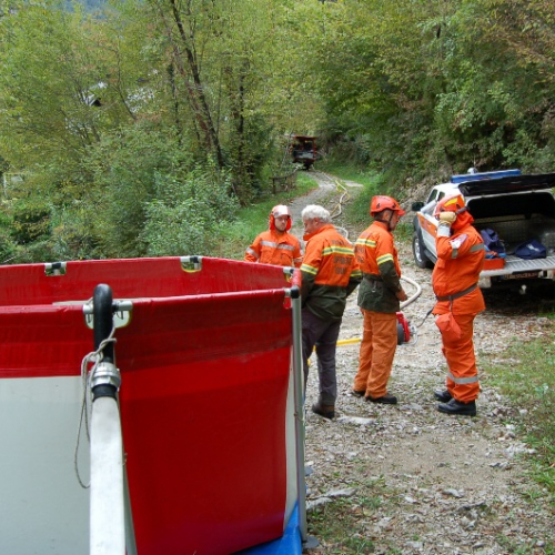 DSC_0403.JPG / 114619