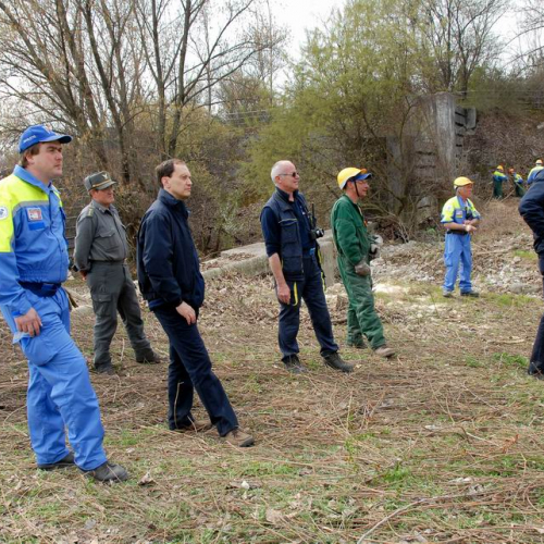 Alvei Puliti 2012 n. 96 / 78297