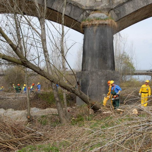 Alvei Puliti 2012 n. 97 / 78298