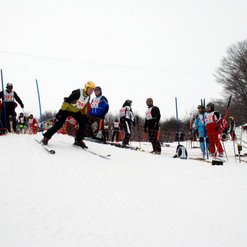 Gara di slalom gigante 63 / 34709