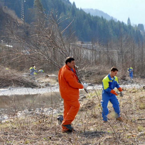 Alvei Puliti 2012 n. 98 / 78299