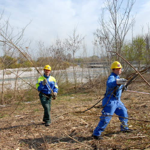 Intervento Fiume Isonzo nei pressi del Ponte di Sagrado n. 36 / 78648