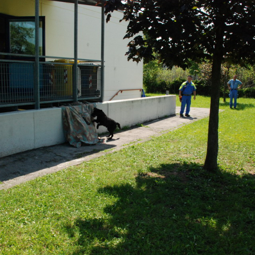 Attivit‡ formazione/divulgazione presso scuola Colugna n. 83 / 109954