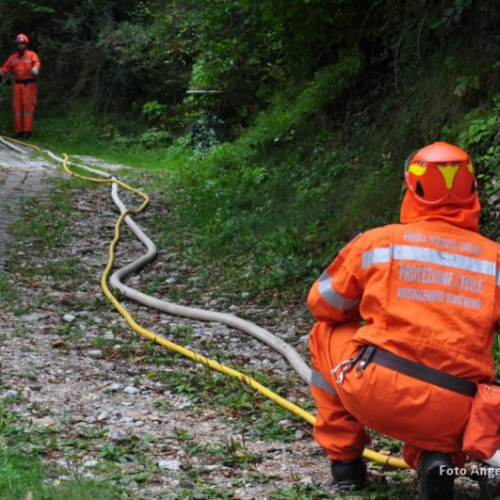 DSC_0406.JPG / 114618