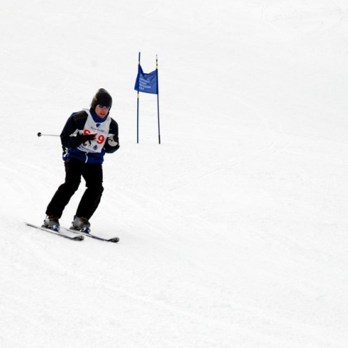 Gara di slalom gigante 73 / 34719