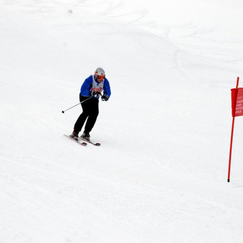 Gara di slalom gigante 74 / 34720