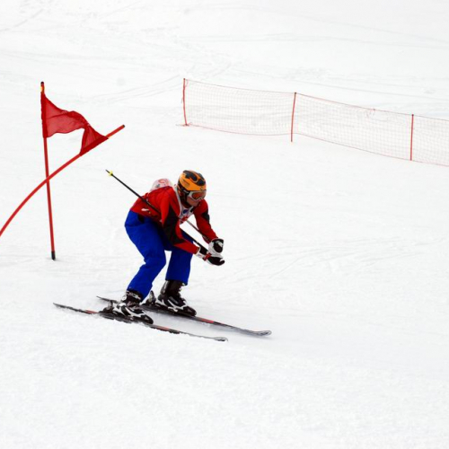 Gara di slalom gigante 77 / 34723