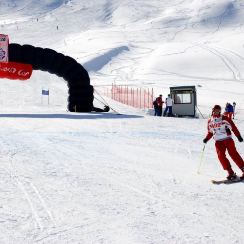 Gara di slalom gigante 85 / 34731