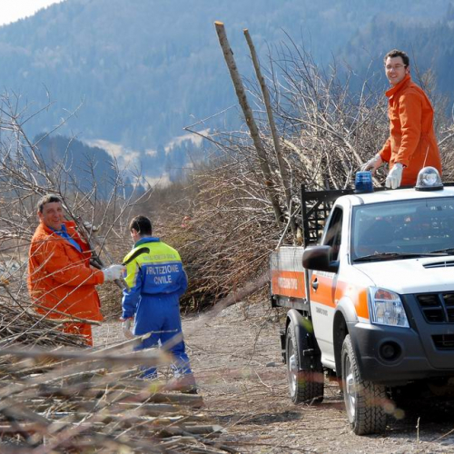 Alvei Puliti 2012 n. 99 / 78300