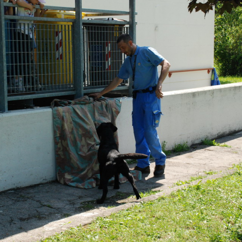 Attivit‡ formazione/divulgazione presso scuola Colugna n. 84 / 109955