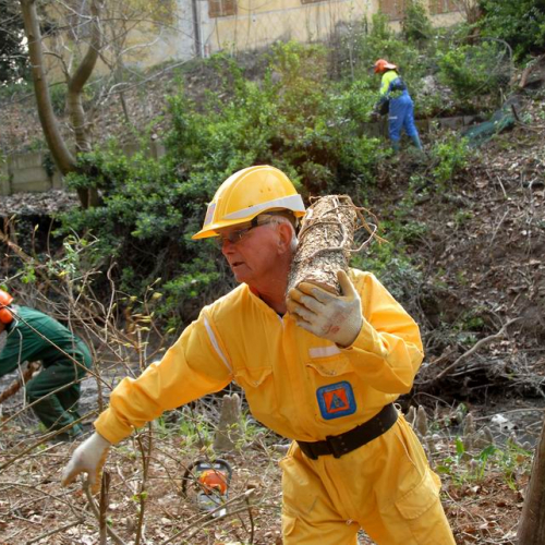 Alvei Puliti 2012 n. 100 / 78301