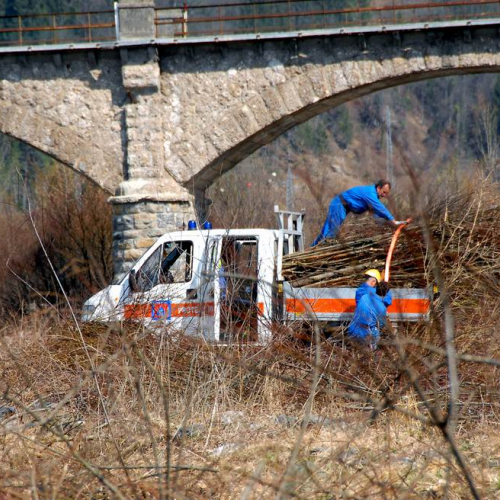 Alvei Puliti 2012 n. 101 / 78302