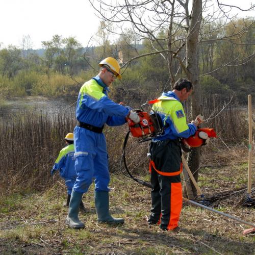 Intervento Fiume Isonzo nei pressi del Ponte di Sagrado n. 39 / 78651