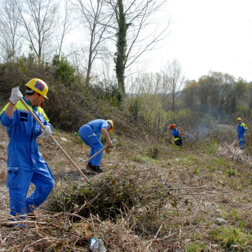 Intervento Fiume Isonzo nei pressi del Ponte di Sagrado n. 41 / 78653