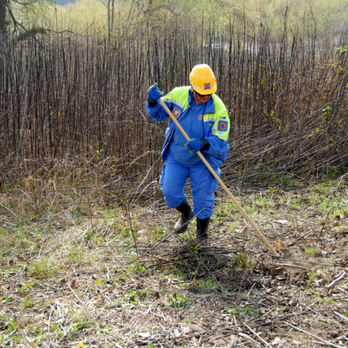 Intervento Fiume Isonzo nei pressi del Ponte di Sagrado n. 42 / 78654