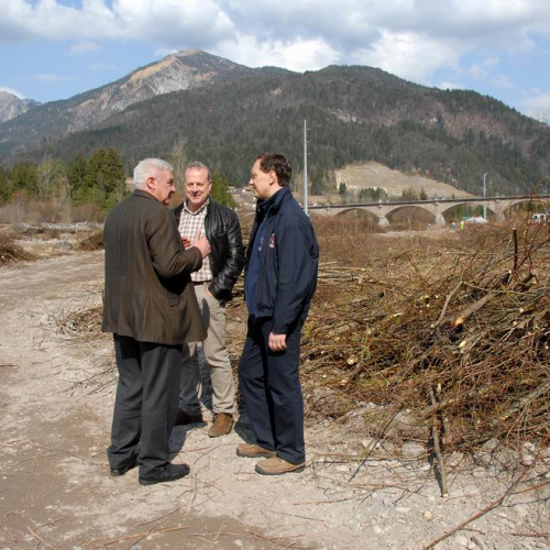 Alvei Puliti 2012 n. 103 / 78304