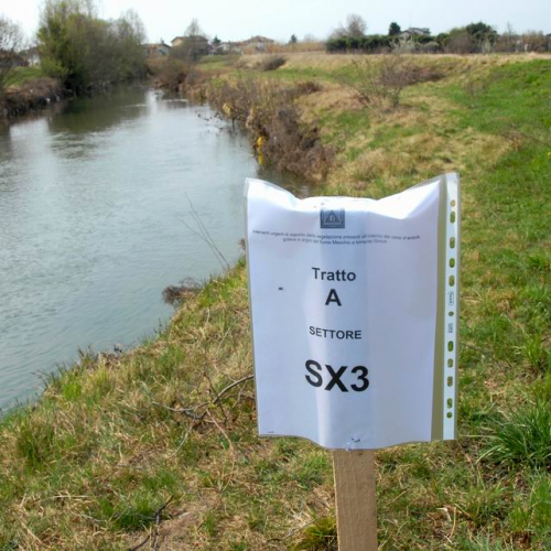 Alvei Puliti 2012 n. 107 / 78308