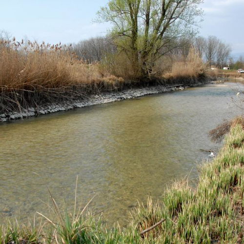 Alvei Puliti 2012 n. 109 / 78310