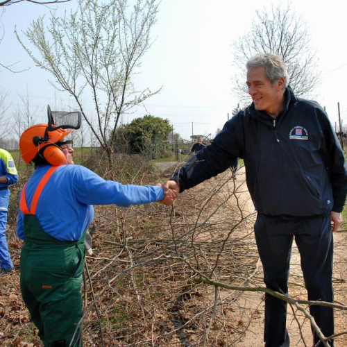 Alvei Puliti 2012 n. 110 / 78311