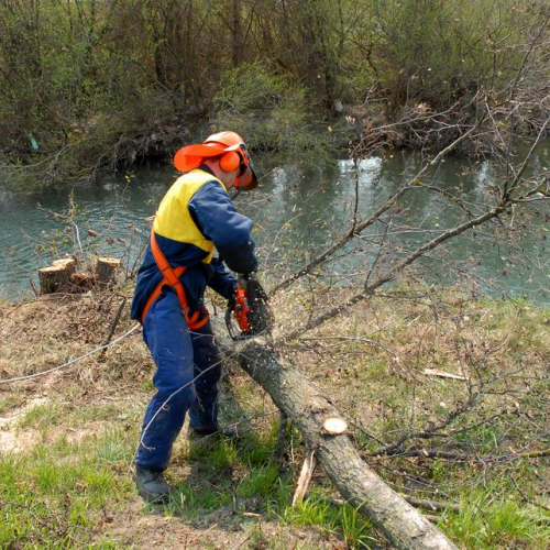 Alvei Puliti 2012 n. 112 / 78313