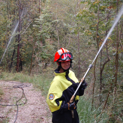 DSC_0427.JPG / 114637