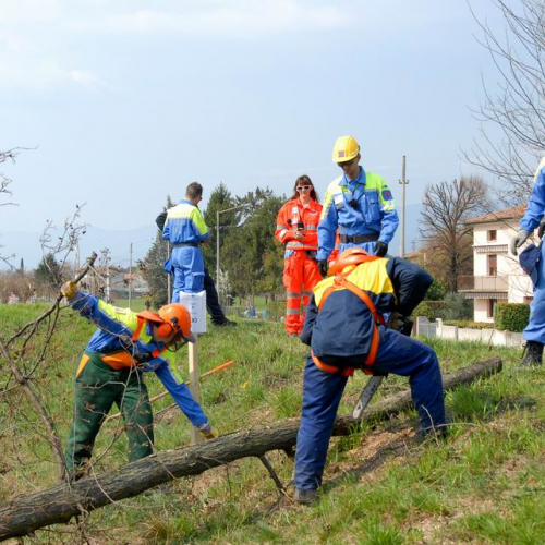 Alvei Puliti 2012 n. 113 / 78314