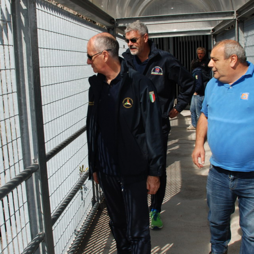 Esercitazione Nord-Est 2013" n. 75""sercitazione "Nord-E""ercita" / 99500