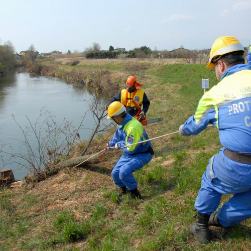 Alvei Puliti 2012 n. 114 / 78315