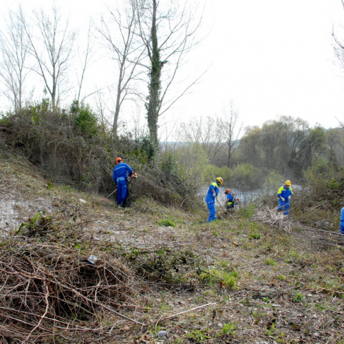Intervento Fiume Isonzo nei pressi del Ponte di Sagrado n. 43 / 78655