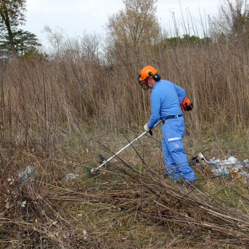 Intervento Fiume Isonzo nei pressi del Ponte di Sagrado n. 46 / 78658