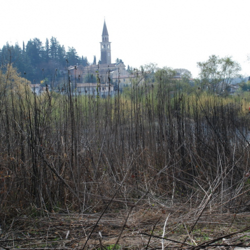 Intervento Fiume Isonzo nei pressi del Ponte di Sagrado n. 47 / 78659