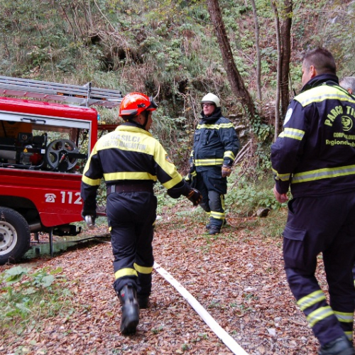 DSC_0435.JPG / 114638