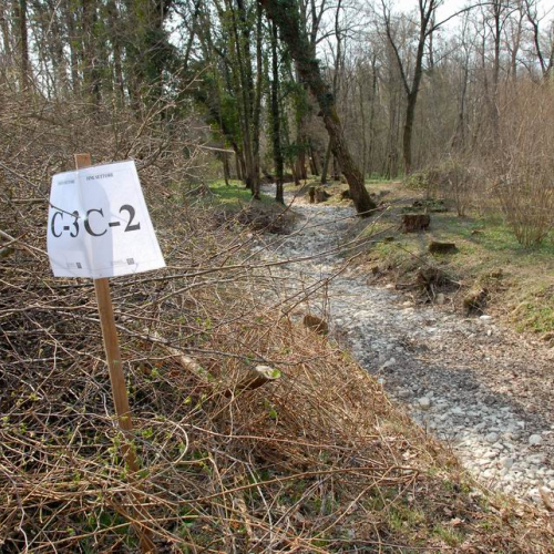 Alvei Puliti 2012 n. 122 / 78323