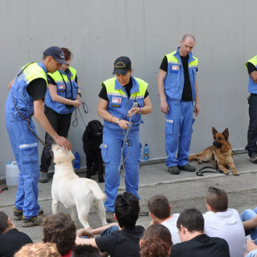 Prova di evacuazione n. 40 / 80742