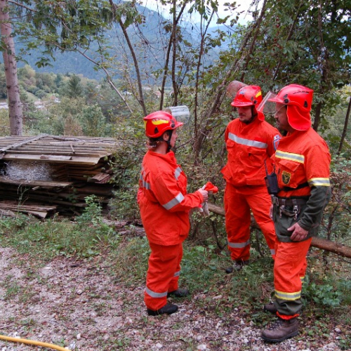 DSC_0439.JPG / 114639