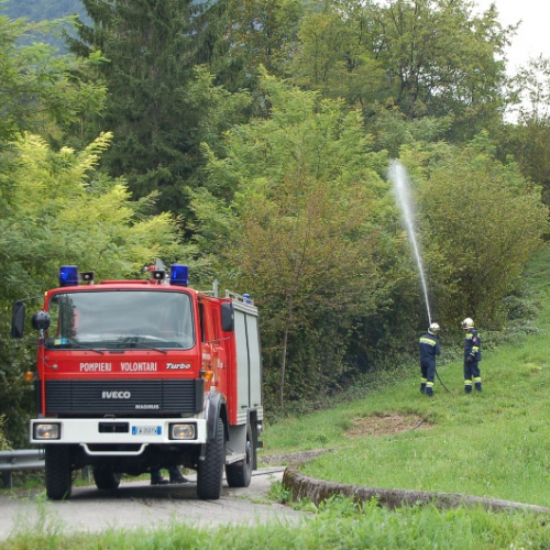 DSC_0477.JPG / 114642