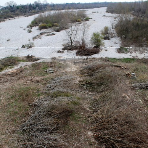 Intervento alveo Torre nelle vicinanze dell'abitato di Salt n. 113 / 78787
