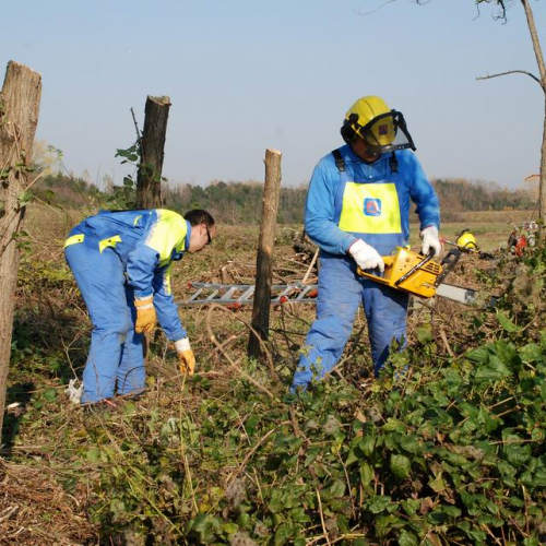 Esercitazione 19/11 n. 61 / 72935