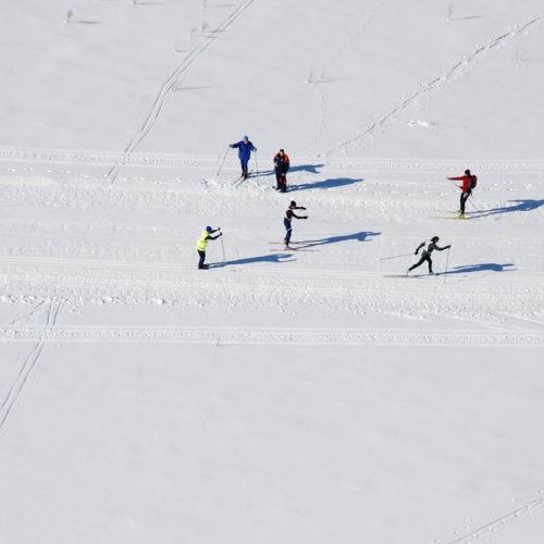 Gara di fondo 36 / 34767