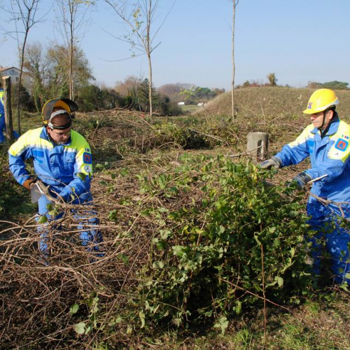 Esercitazione 19/11 n. 62 / 72936