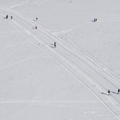 Gara di fondo 38 / 34769
