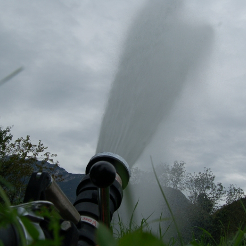 DSC_0543.JPG / 114650