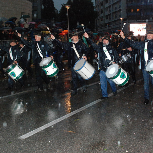 Sfilata Gruppi Alpini FVG n. 6 / 108376