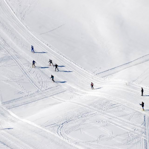 Gara di fondo 41 / 34772