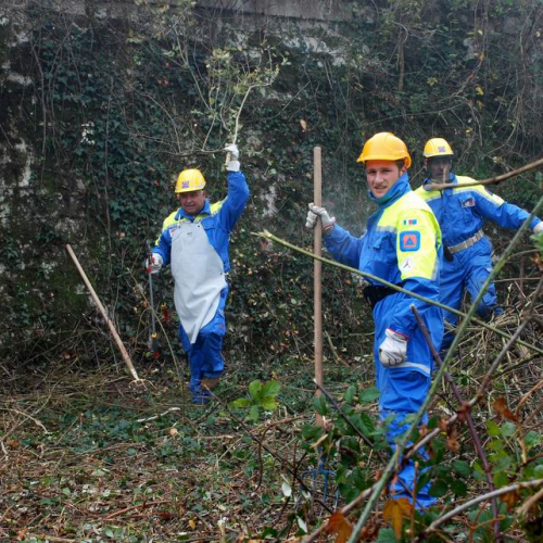 Esercitazione 20/11 n. 1 48 / 73088
