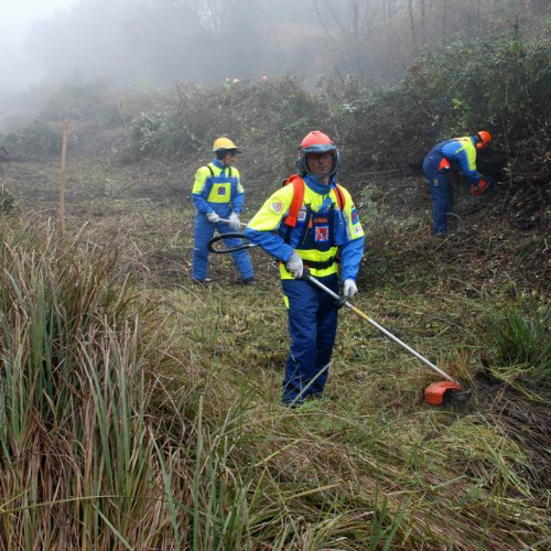 Esercitazione 20/11 n. 1 49 / 73089