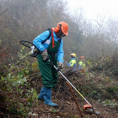 Esercitazione 20/11 n. 1 51 / 73091
